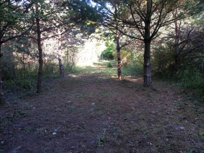 LakeShore Disc Golf Complex, Rats Nest, Hole 11 Reverse (back up the fairway)