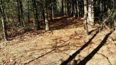 LakeShore Disc Golf Complex, Rats Nest, Hole 7 Tee pad