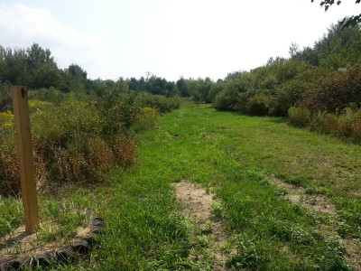 LakeShore Disc Golf Complex, Rats Nest, Hole 1 Tee pad