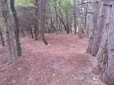 LakeShore Disc Golf Complex, Rats Nest, Hole 6 Putt