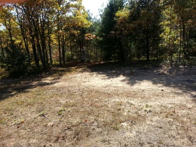 LakeShore Disc Golf Complex, Rats Nest, Hole 15 Putt