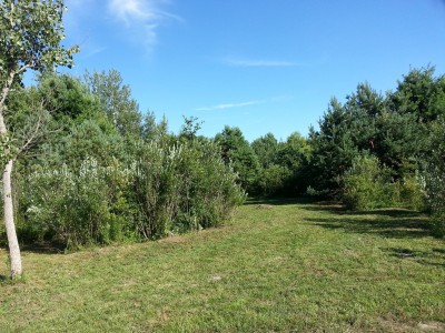 LakeShore Disc Golf Complex, Rats Nest, Hole 1 Short approach