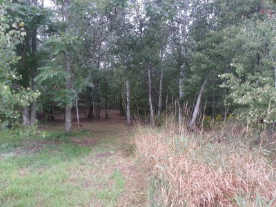 LakeShore Disc Golf Complex, Rats Nest, Hole 4 Midrange approach