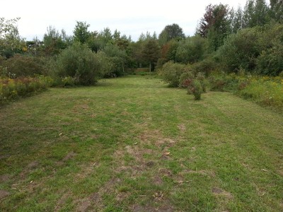 LakeShore Disc Golf Complex, Rats Nest, Hole 10 Tee pad