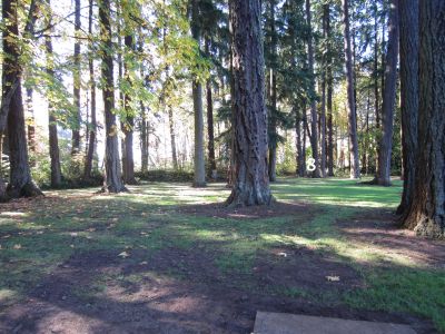 Pioneer Park, Main course, Hole 8 