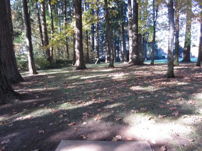 Pioneer Park, Main course, Hole 7 