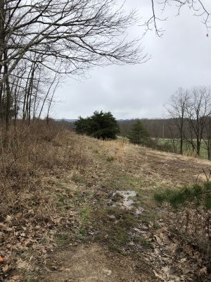 ACE Adventure Resort, Wonderland, Hole 13 Tee pad