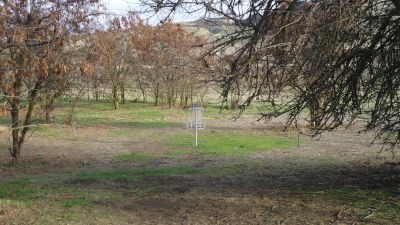 Hells Gate State Park, Main course, Hole 7 Short approach