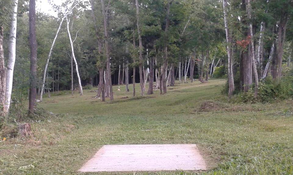 Hole 8 • Stevens Mountain View (Turner, ME) Disc Golf Courses Disc Golf Scene