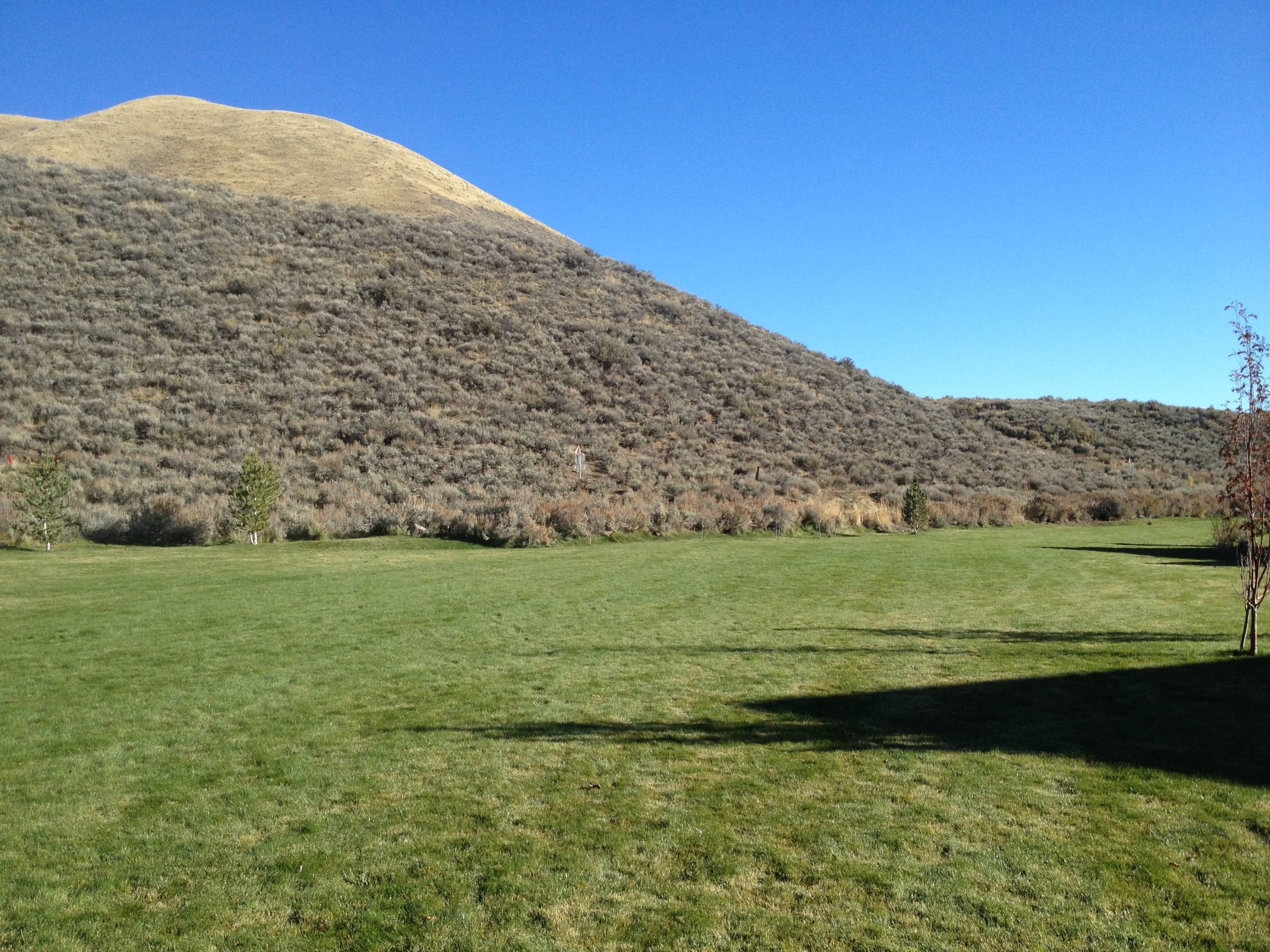 Hole 8 • Keefer Park (Hailey, ID) Disc Golf Courses Disc Golf Scene