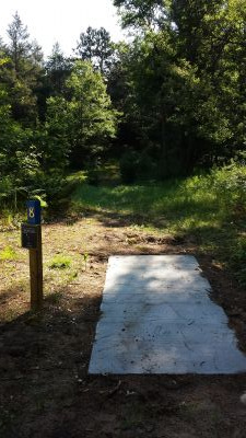 Grayling Township Park, Main course, Hole 8 Tee pad