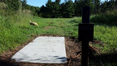 Grayling Township Park, Main course, Hole 4 Tee pad