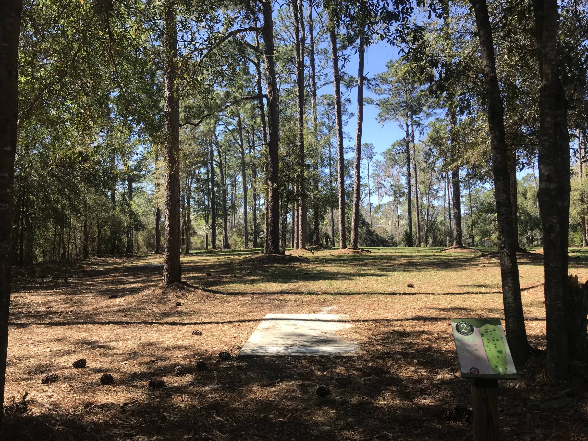 Hole 2 • Heritage Park and Gardens (Live Oak, FL) Disc Golf Courses