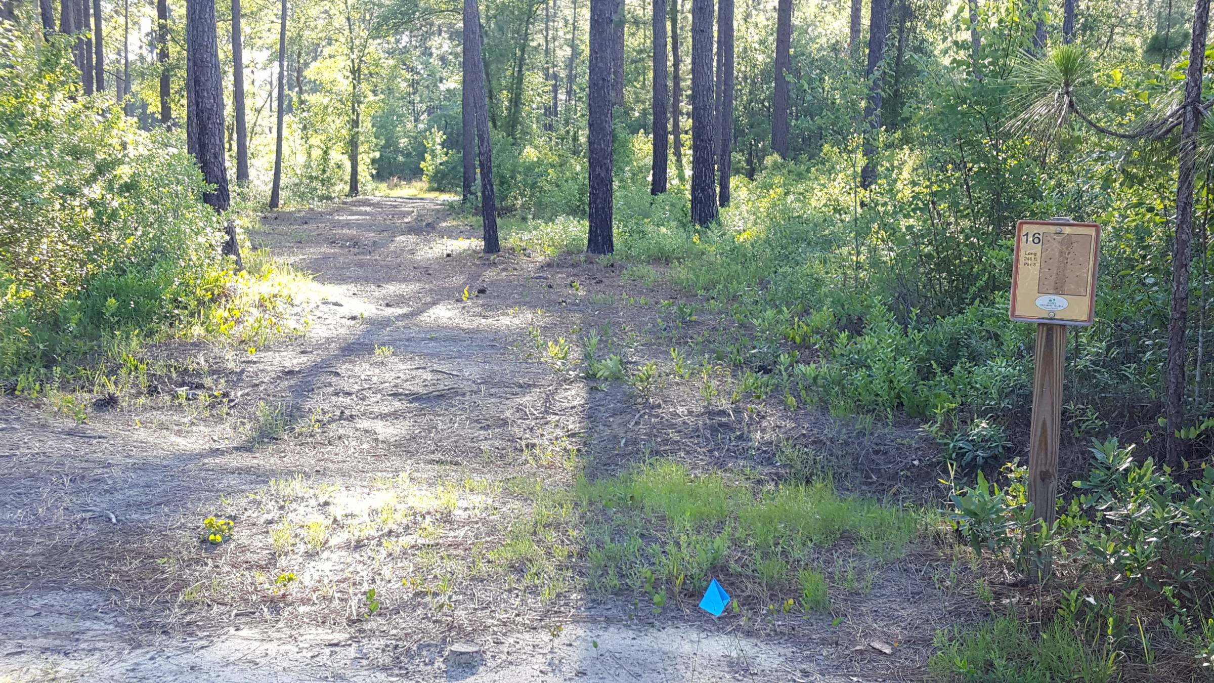 Hole 16 • Main course / Statesboro Bulloch County DGC (Statesboro GA