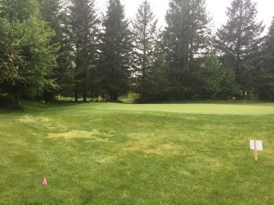 Elkhorn Golf Course, Main course, Hole 17 Tee pad