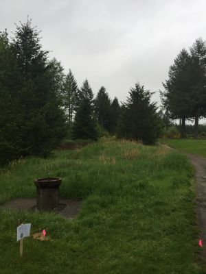 Elkhorn Golf Course, Main course, Hole 14 Tee pad