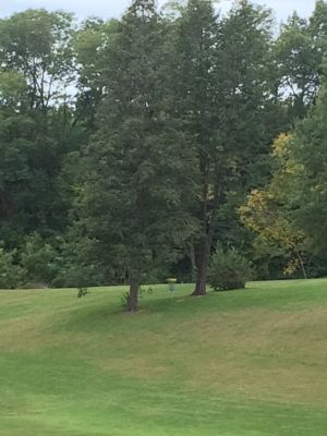 Sunset Hills Country Club, Main course, Hole 9 Midrange approach