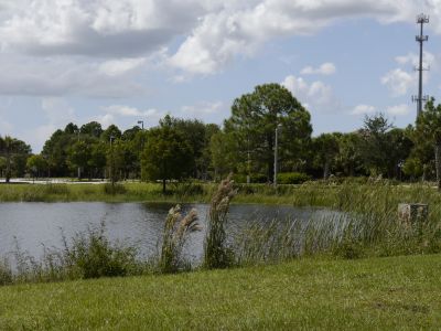 Estero DGC, Main course, Hole 10 Long approach