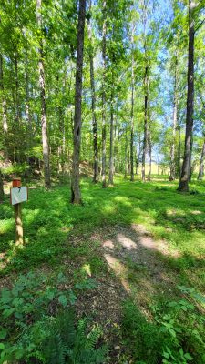 Lake Meriwether Park, Main course, Hole 7 Tee pad