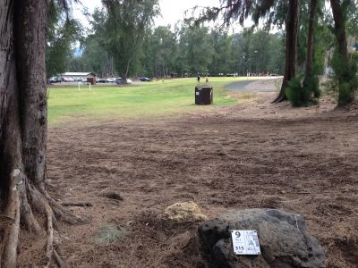 Bellows Field Beach DGC, Main course, Hole 9 Tee pad