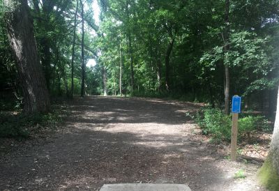 Fairfield Park, Gold course, Hole 13 Tee pad