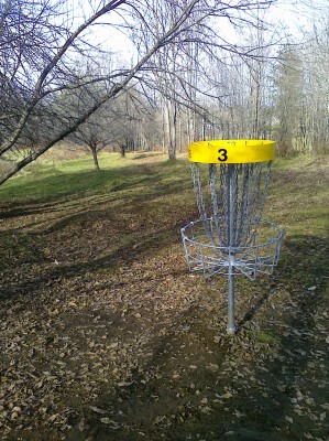 Center Chains, Main course, Hole 3 Reverse (back up the fairway)