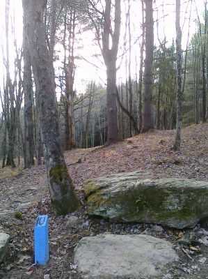 Center Chains, Main course, Hole 10 Long tee pad