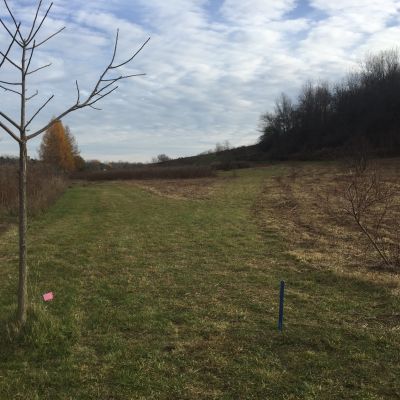 Van Buren Central Park, Main course, Hole 8 Long tee pad