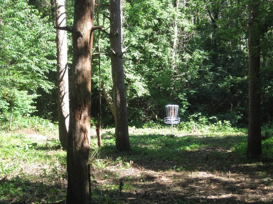 Hole 3 • Veteran Hills Disc Golf Course Viroqua VFW (Viroqua WI