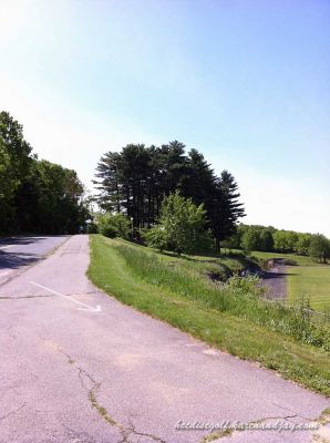 HCC Disc Golf Course, Main course, Hole 2 Tee pad