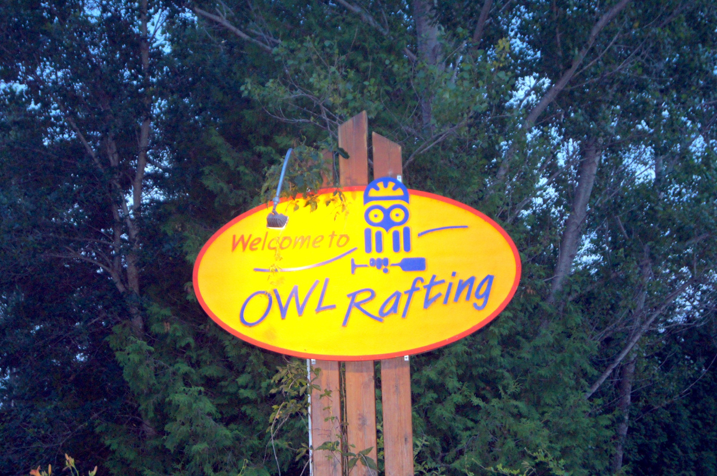 Hole 4 • Owl DGC (Ottawa, ON) Disc Golf Courses Disc Golf Scene