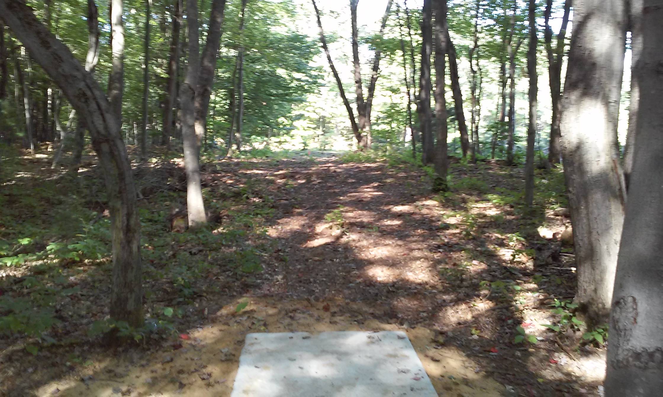 Hole 6 • Holton DGC (Holton, MI) Disc Golf Courses Disc Golf Scene