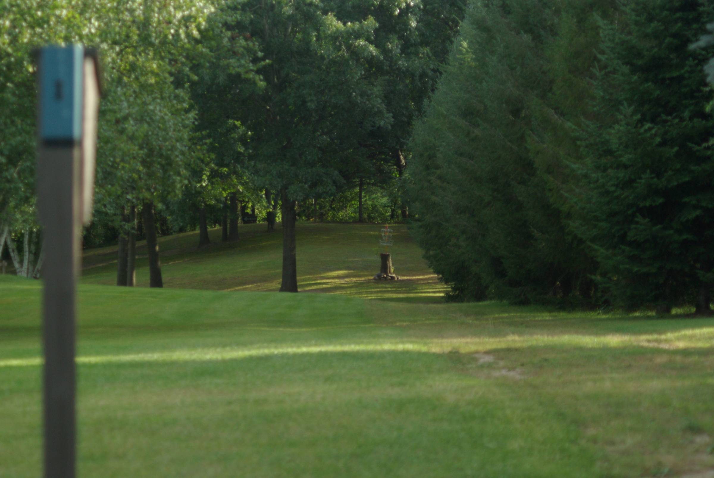 Hole 1 • The Dojo (Jackson, MI) Disc Golf Courses Disc Golf Scene