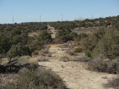 Lions Wilderness, Main course, Hole 21 Tee pad