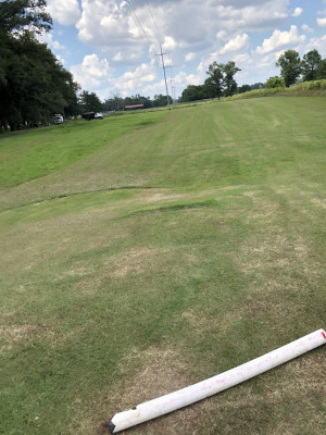 Graham Park - Grove Creek Run DGC, Main course, Hole 8 Long tee pad