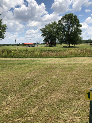 Graham Park - Grove Creek Run DGC, Main course, Hole 18 Long tee pad