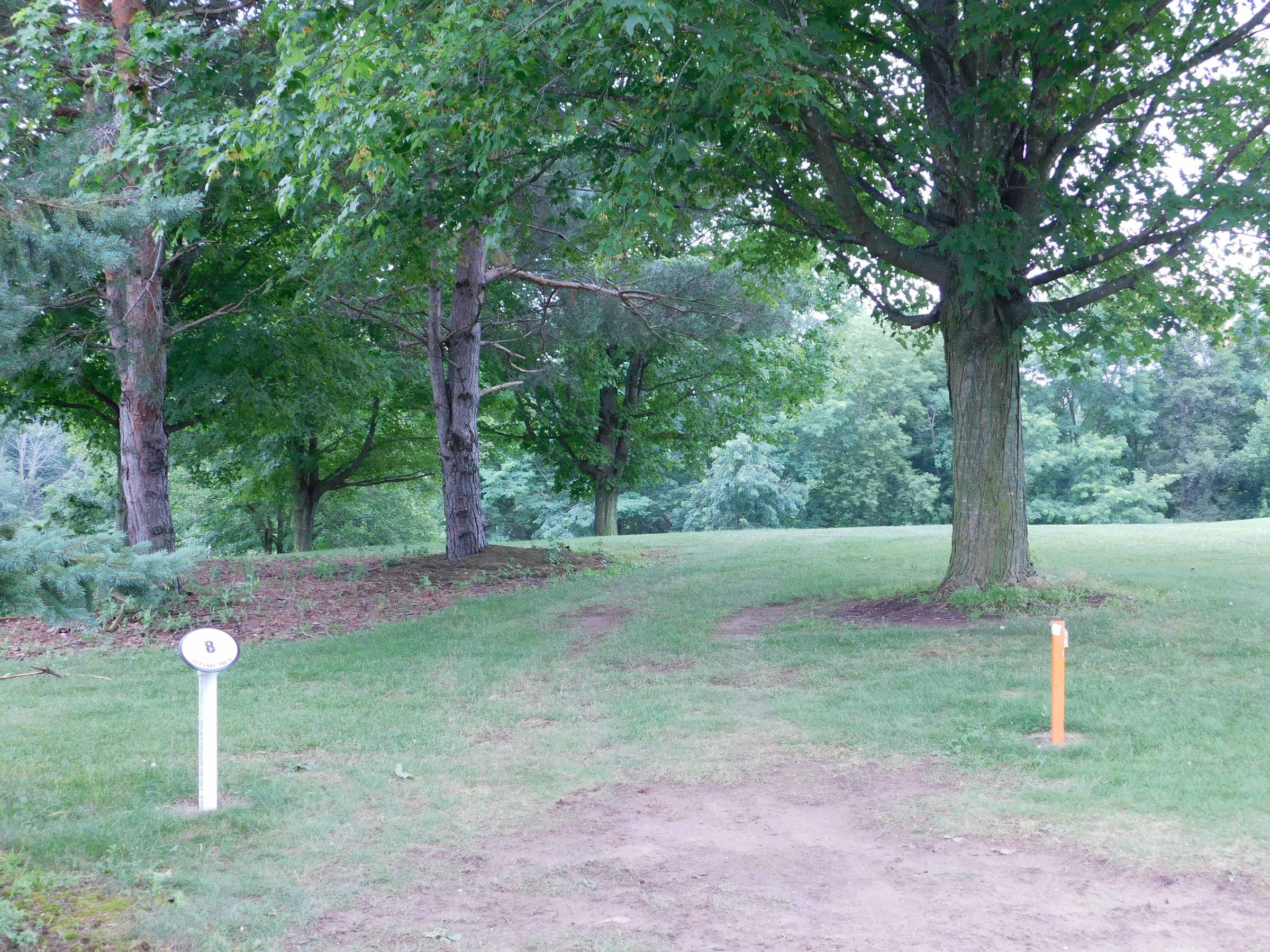 Hole 8 • Dragon's Lair / Marlette DGC (Marlette, MI) Disc Golf