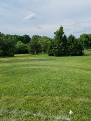 Woodman Park, Main course, Hole 18 Tee pad