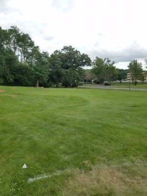 Woodman Park, Main course, Hole 6 Tee pad