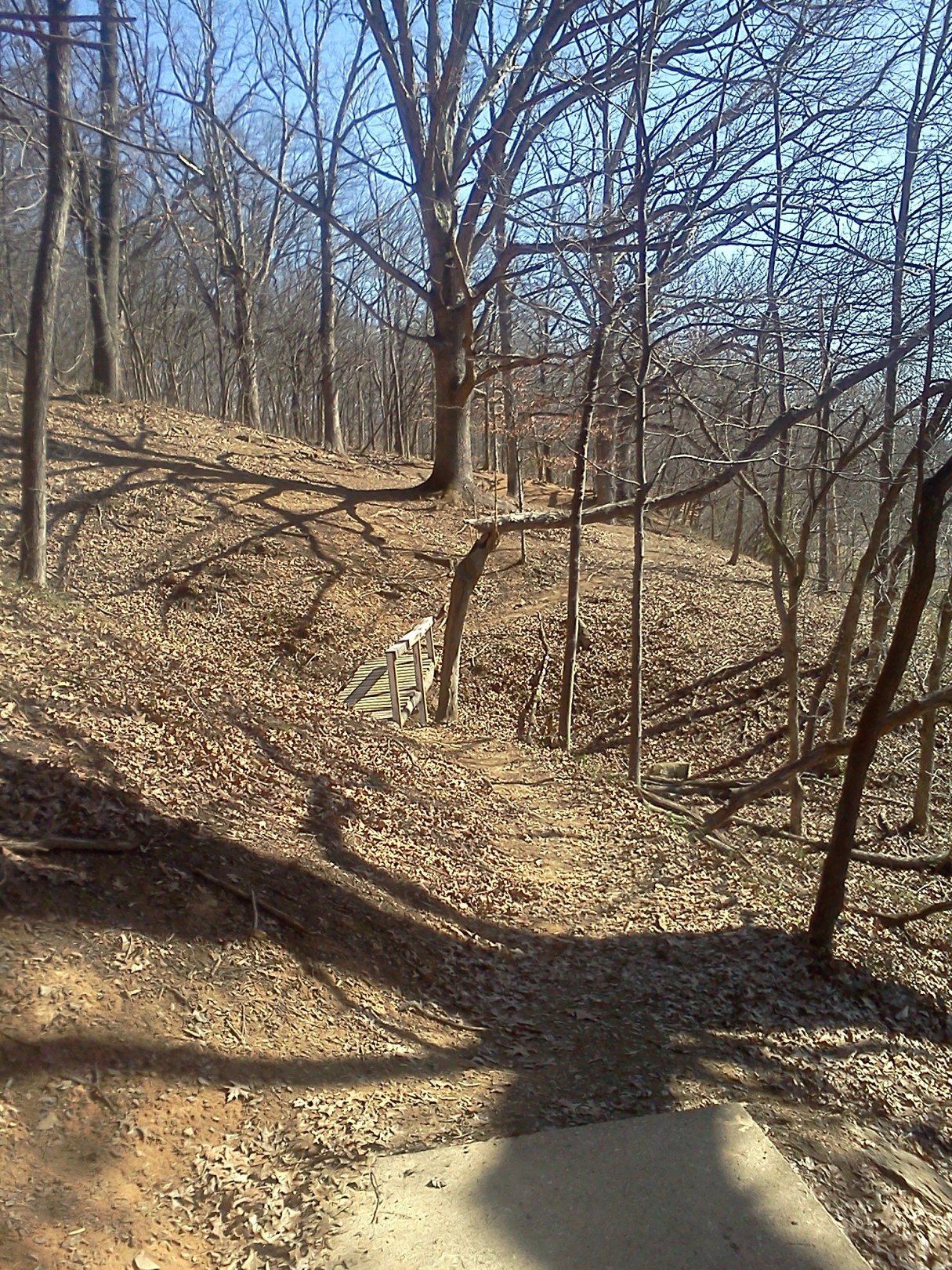 Hole 11 • Rotary Park (Huntington, WV) Disc Golf Courses Disc Golf