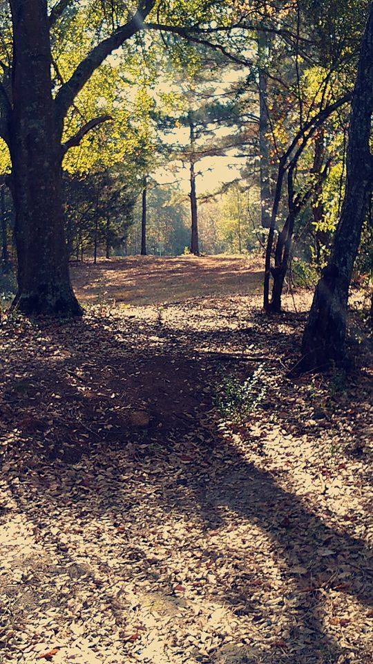 Hole 3 • Depot DGC (Sandersville, GA) Disc Golf Courses Disc Golf Scene