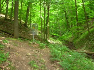 The Mountwood Monster, Main course, Hole 1 Putt