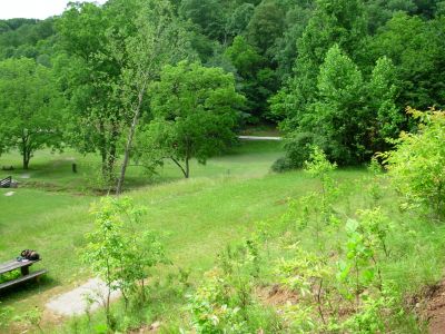 The Mountwood Monster, Main course, Hole 2 Alternate pin