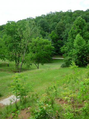 The Mountwood Monster, Main course, Hole 2 Alternate pin