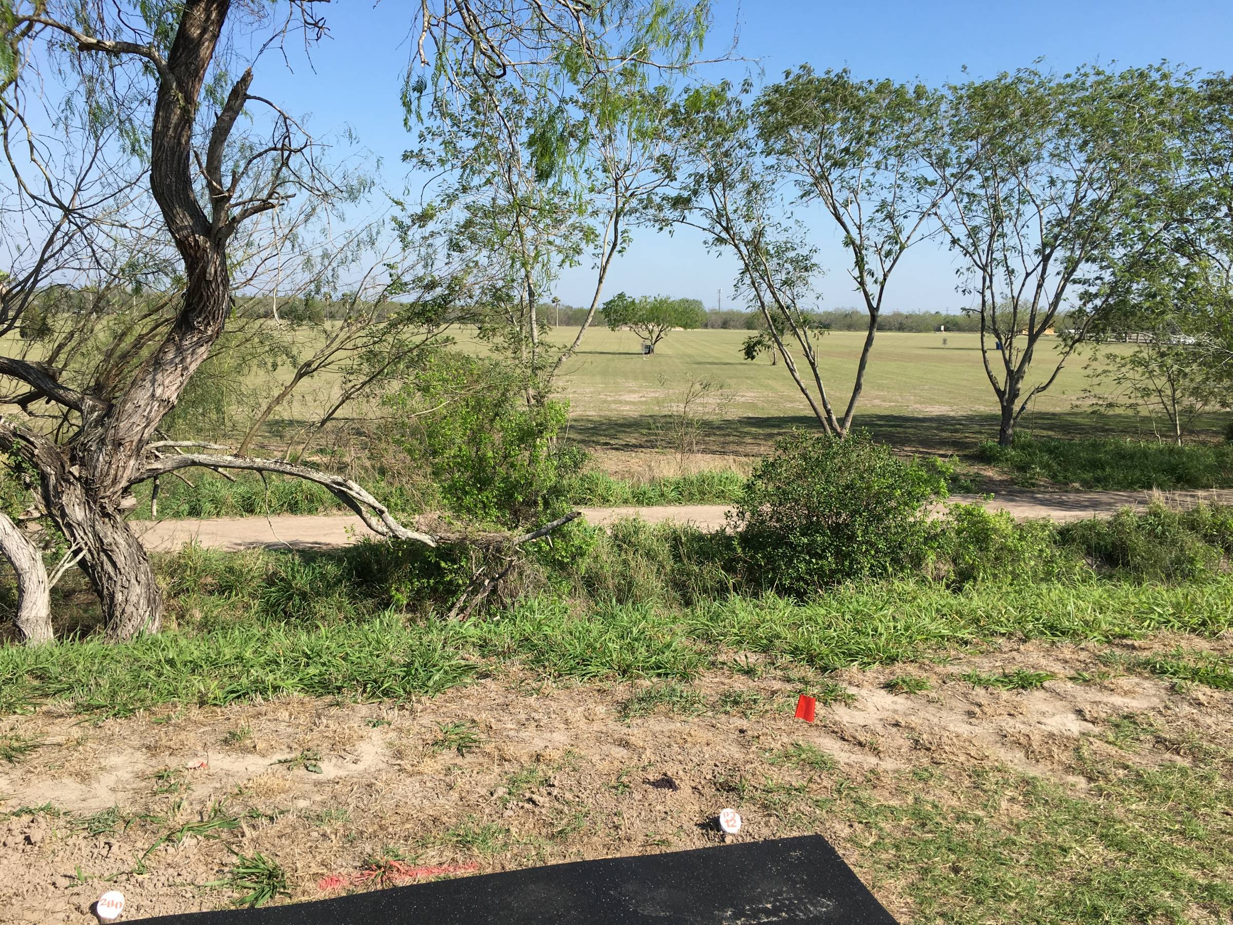 Hole 12 • Monte Bella DGC (Brownsville, TX) Disc Golf Courses Disc