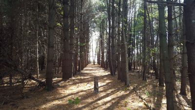 Eagles Nest DGC, Main course, Hole 8 Tee pad