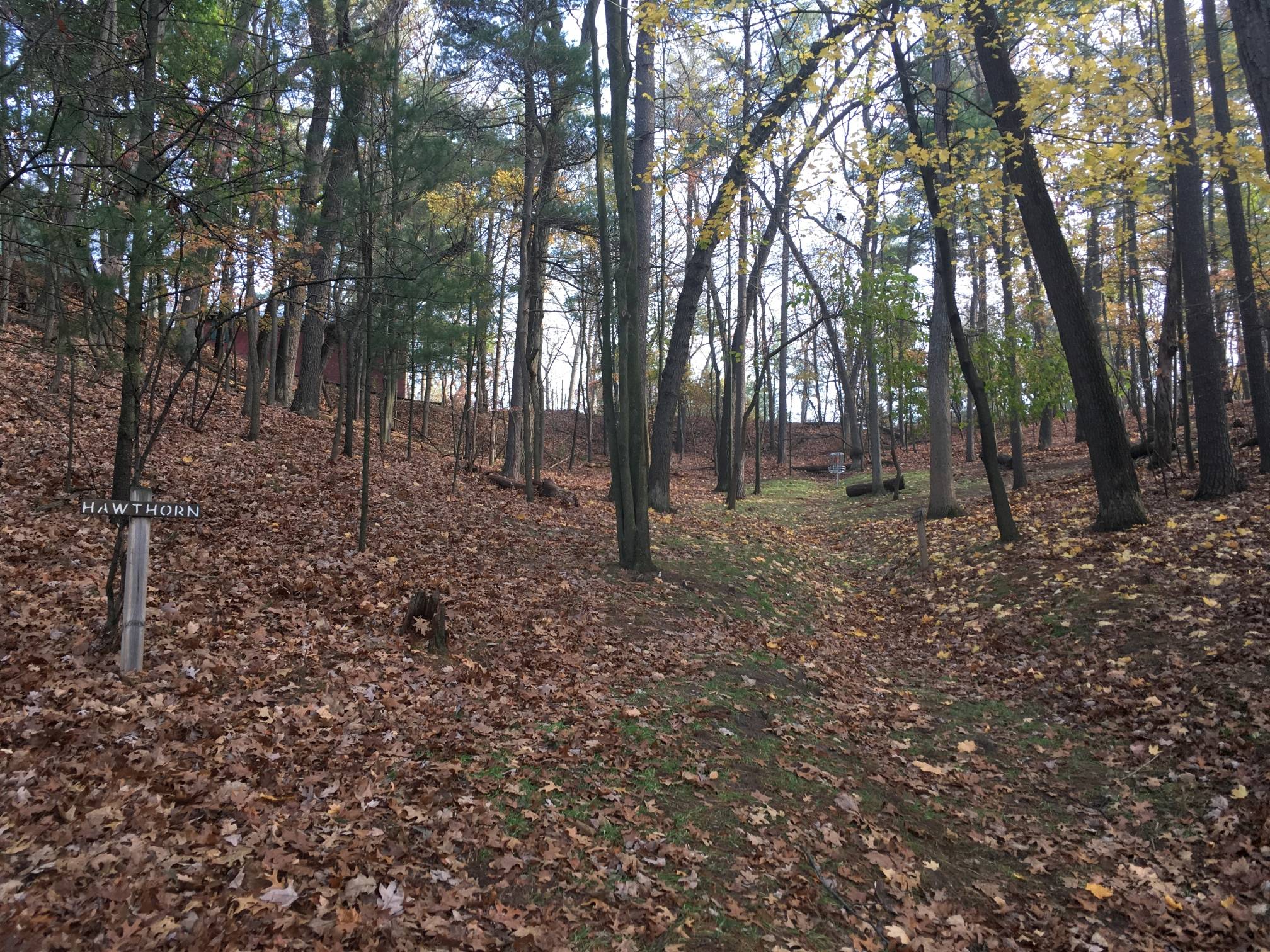 Hole 7 • Tower Park (Greenville, MI) Disc Golf Courses Disc Golf Scene