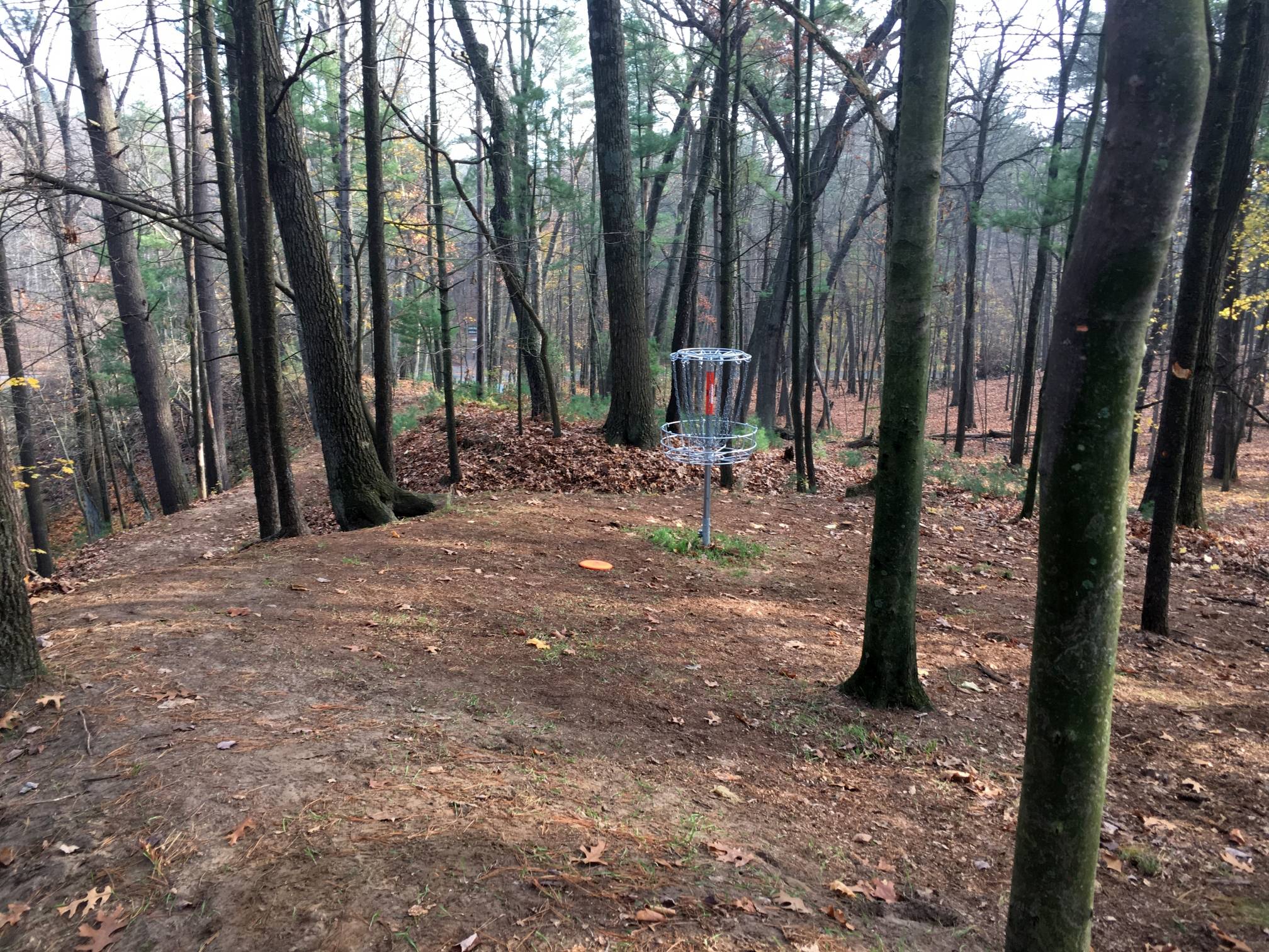 Hole 9 • Tower Park (Greenville, MI) Disc Golf Courses Disc Golf Scene