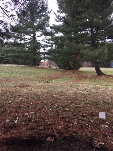 Hole 3 • Boardman Park (Boardman OH) Disc Golf Courses Disc Golf Scene