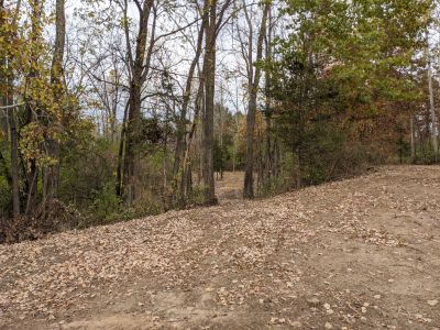 Independence Lake County Park, Red Hawk X, Hole X12 Long tee pad